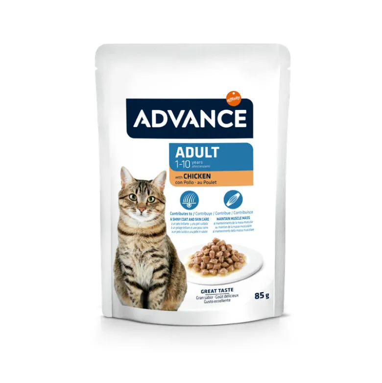 Sobre Advance Adult Pollo para Gatos 85g