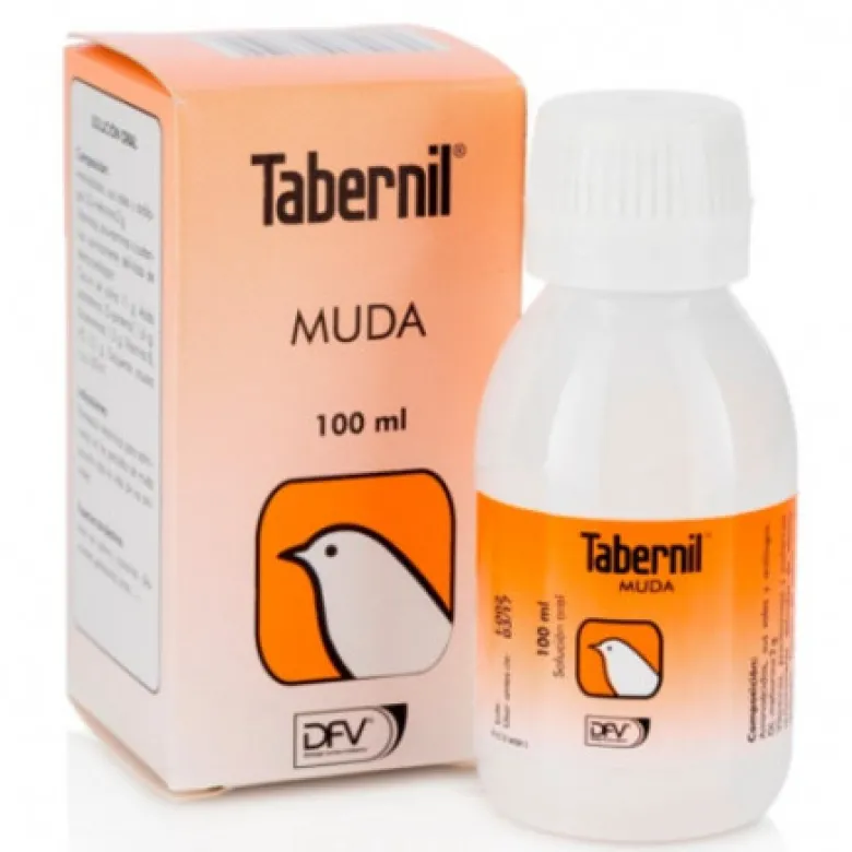 Tabernil Muda