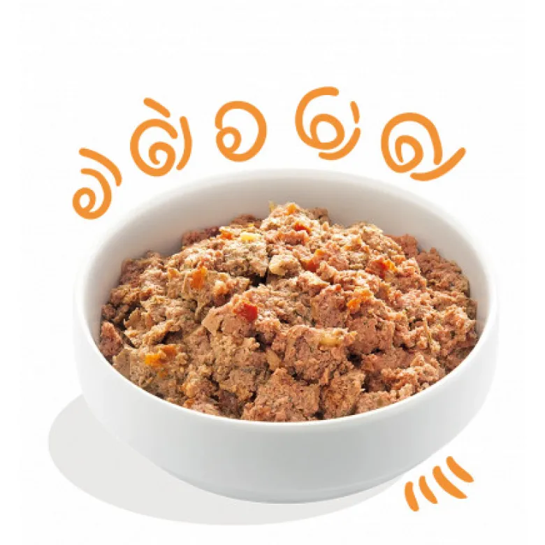 Tarrina Edgard Cooper Pollo y Pavo Adult 150gr