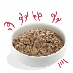 Tarrina Edgard Cooper Ternera Ecológico Adult Bio 100g