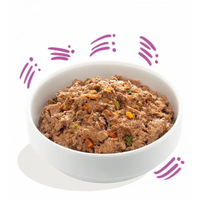 Tarrina Edgard Cooper Venado y Pato Adult 150gr