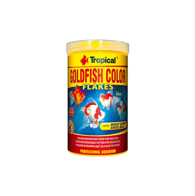 Tropical Goldfish Color Resaltador Del Color