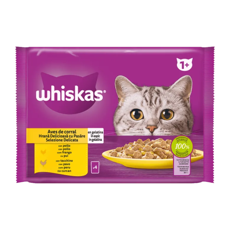 Whiskas 1+ Selección de Aves Gelatina para Gatos 4x85g