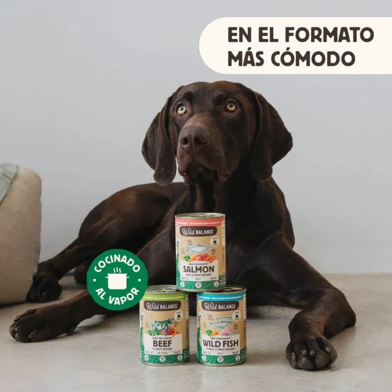 Wild Balance Menú Completo Cocinado al vapor Salmón y Ternera para Perros