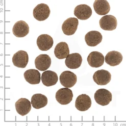 Wolfsblut VetLine Gastrointestinal Adult para Perros