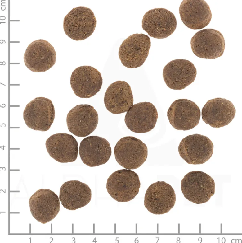 Wolfsblut VetLine Gastrointestinal Adult para Perros