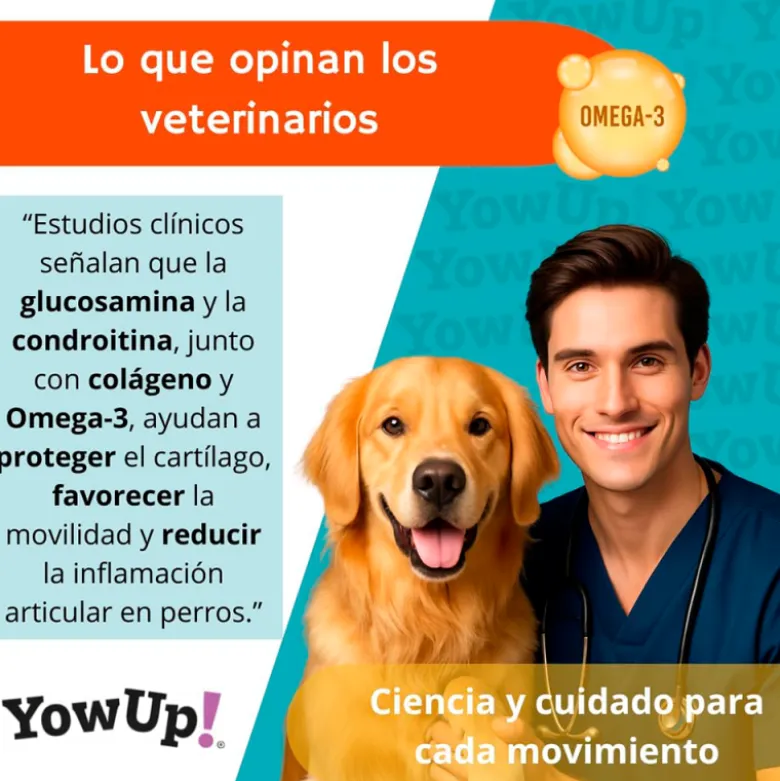 YowUp! Articular Sabor Pollo para Perro