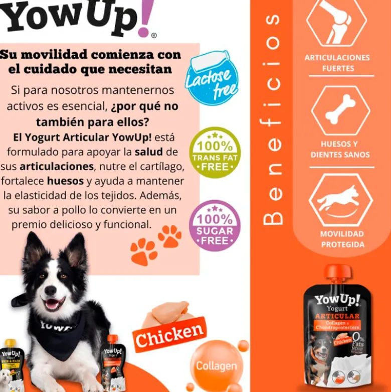YowUp! Articular Sabor Pollo para Perro