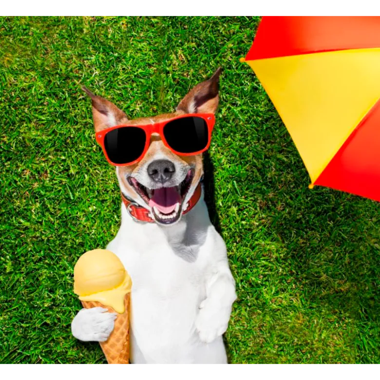 YowUp! Helado Yogurt Hot Dog para Perros