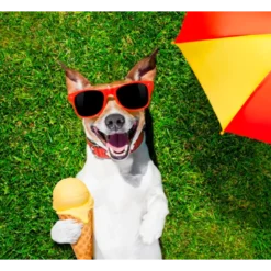 YowUp! Helado Yogurt Tartar de Salmón para Perro