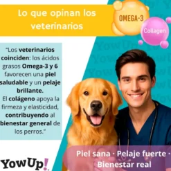 YowUp! Skin & Hair Salmón para Perro