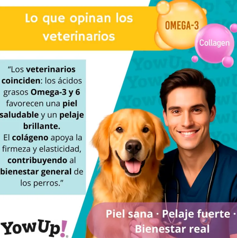 YowUp! Skin & Hair Salmón para Perro