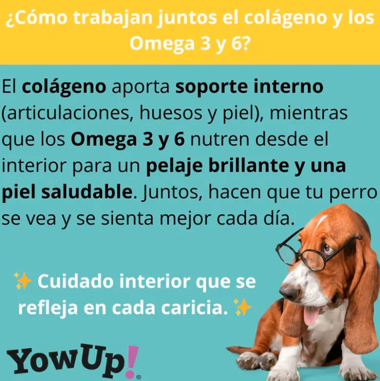 YowUp! Skin & Hair Salmón para Perro